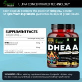 Humming Herbs DHEA 10mg Supplement - Micronized for Enhanced Absorption - Boosts Energy, Supports Metabolism & Promotes Well-being - Pack of 2