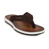 Campus - Brown Mens Thong Flip Flop - None