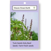 CLASSIC GREEN EARTH - Tulsi Plant ( 200 Seeds )