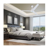 Orpat 1200 Moneysaver I (S) Ceiling Fan White - White