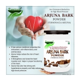 Rawmest Arjuna Bark Powder 100 Gm Pack of 2