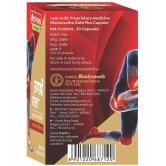 Baidyanath Rheumartho Gold Plus Joint Pian Tablet 30 no.s (Pack Of 2)