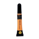 Half N Half HD-Pro Face Makeup Cream Concealer, Shade 06 Orange Corrector (8gm)