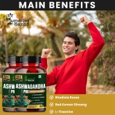 Humming Herbs Ashwagandha Pro - High Potency Adaptogen Blend with Rhodiola Rosea, Red Korean Ginseng, L-Theanine, & Lions Mane - Natural Stress Relief & Cognitive Support- Pack of 2