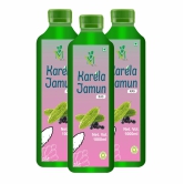 Mint Veda 100% Pure Natural Karela Jamun Juice Which Controls SBlood Sugar, Lowers Bad Cholesterol Naturally, Sugar Free Healthy Herbal Juice, 1 Litre Pack of 3