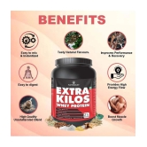 Nutriley Extra Kilos Whey Protein ( 500 gm , Kesar Pista Badam - Flavour )