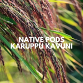 Native Pods Karuppu Kavuni Rice 500g | Traditional Unpolished Rice | Organic Black Rice,Kowni rice | Forbidden Rice,Low GI | Pack of 1