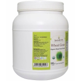 Ayurvedic Life Wheatgrass Powder 500 gm Pack Of 1