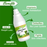 Shri chyawan Wheat Grass Ras -500 ml Fights Skin InfectionsImproves overall Metabolism-Shri chyawan Wheat Grass Ras -500 ml |Fights Skin Infections|Improves overall Metabolism|