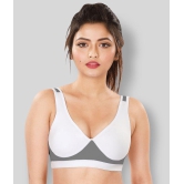 Dermawear Multi Color Poly Cotton Color Blocking Sports Bra - 38C