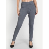 AngelFab - Denim Regular Fit Grey Womens Jeggings ( Pack of 1 ) - None