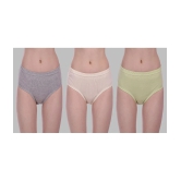 Elina - Grey Cotton Solid Womens Briefs ( Pack of 3 ) - None