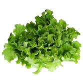 Lettuce Simpson 150 Gms