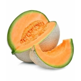 Musk Melon Golden Orange Flesh, Muskmelon Seeds, 30 Kharbuja Seeds