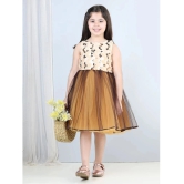 Toy Balloon Kids Brown Net Girls Frock ( Pack of 1 ) - None