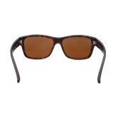 Brown Square Sunglasses for Unisex