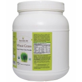 Ayurvedic Life Wheatgrass Powder 500 gm Pack Of 1