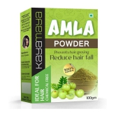 100% Natural Amla Powder 100gm