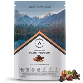 Wellbeing Nutrition Organic Vegan Plant Protein Isolate| Superfoods, Antioxidants, Berry , Digestive Enzymes | 4g BCAA, 3g Fiber for Muscle Repair & Recovery| Dark Chocolate Hazelnut - 500gm