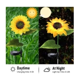 DAYBETTER 20W Solar Garden Light ( Pack of 1 )