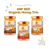 ANP BEE Ayurveda Bliss Raw Honey Organic Honey Trio 250 g Pack of 3