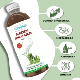 Sampuran Swadeshi Aloe Vera Wheatgrass : Digestive, Immune, & Skin Health, 1L