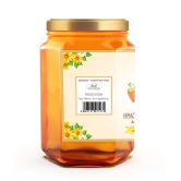 Agri Club Himachal Multy Honey, 450 gm