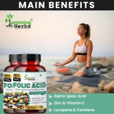 Humming Herbs Folic Acid | Biotin, Alpha Lipoic Acid, Zinc, Vitamin E, Lycopene, Selenium & Lemon Peel Extract | Advanced Multinutrient Formula for Immune Support, Antioxidant Protection & Skin Health - Pack of 2