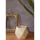 White Hexagon Planter