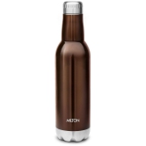 Milton Pride 600 Themosteel Hot and Cold Water Bottle, 500 ml, Dark Brown - Dark Brown