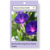 CLASSIC GREEN EARTH - Ipomoea Flower ( 17 Seeds )