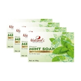 Naturals care for beauty Freshness Soap for All Skin Type ( Pack of 4 )