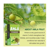 100% Natural Amla Powder 100gm