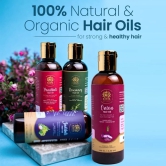 Kaaya Natural Jadibuti Hair Oil