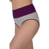 Madam Purple PANTY Nylon Solid Womens Hipster ( Pack of 1 ) - None