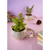 Zebra Planter