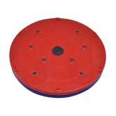 Bhavika Enterprises Acupressure Power Mat Twister for Tummy Trimmer , Weight Loss , Works on Many Parts of The Body and Detoxifies the Body