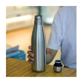 SHB Double Wall Vacuum Insulated Stainless Steel Hot and Cold Water Bottle,Travel Thermos Flask,500 ml (Silver)