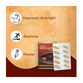 Multani Shilajeet Gold Capsule- For Youthful Living, Enriched With Gold, Kesar, Safed Musli & Shilajeet Original, Ayurvedic Shilajit Capsule For Stamina & Endurance, 10 Capsule