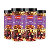 YUM YUM Mixed Dried Fruits - Cranberries, Strawberries, Kiwi, Mango, Pine Apple-600g