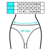 CARNEST Multicolor Pack  Of 3 Panty Blended Solid Womens Hipster ( Pack of 3 ) - None