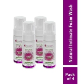 everteen Natural Intimate Foam Wash for Feminine Hygiene in Women - 4 Packs (150ml Each)