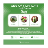 Holy Natural Alfalfa Powder 100gm, Make smoothies and Herbal Meals 100 gm