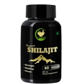 FIJ AYURVEDA Premium Shilajit/Shilajeet Extract Capsule for Vigor & Vitality - 500mg 60 Capsules (Pack of 1)