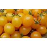 Yellow Cherry Tomato 500 Gms