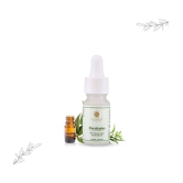 THE SKIN CO. - Eucalyptus Essential Oil 10 mL ( Pack of 1 )