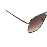 Brown Navigator Rimmed Sunglasses (M253BR4V)