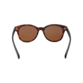 Brown Square Sunglasses for Men