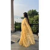 Organza saree