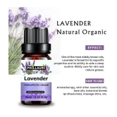 Phillauri Lavender Others Essential Oil Floral With Dropper 90 mL ( Pack of 3 )